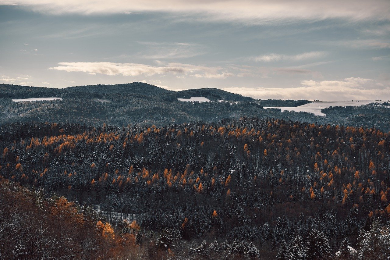 The Unseen Wonders of Australia’s Blue Mountains